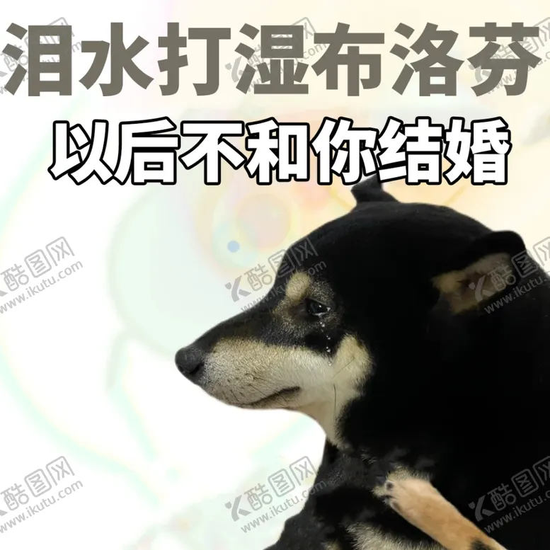 编号：65485602071144458700【酷图网】源文件下载-小柴狗表情包