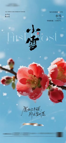 地产小雪质感海报