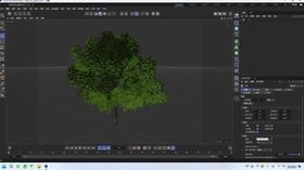大树模型C4D