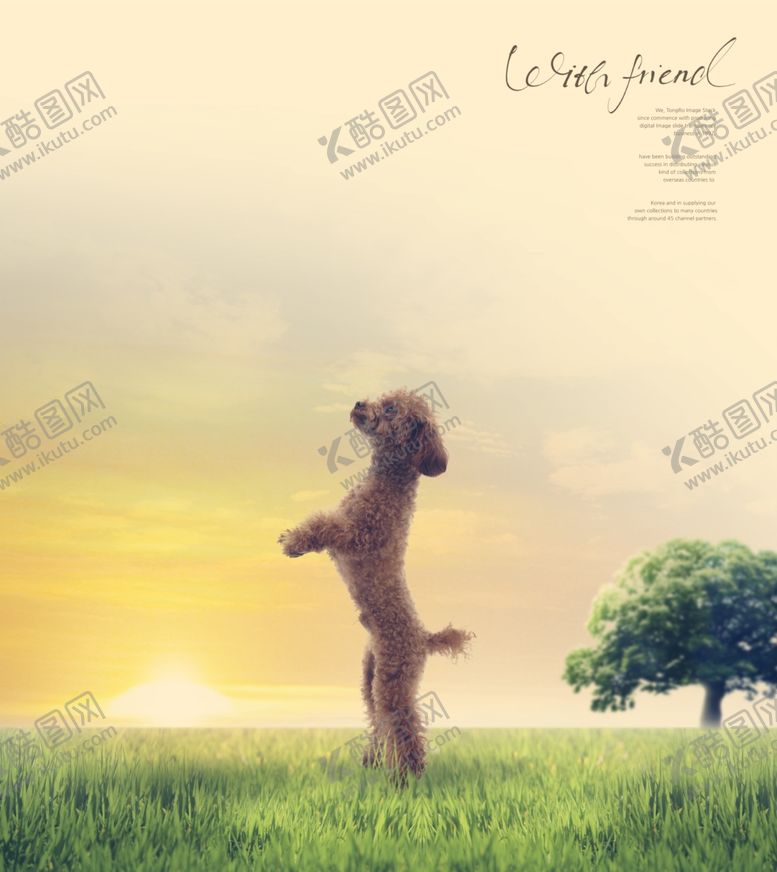 编号：47754207081100049034【酷图网】源文件下载-简约创意小清新手绘插画海报图片