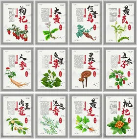 中医养生中药海报