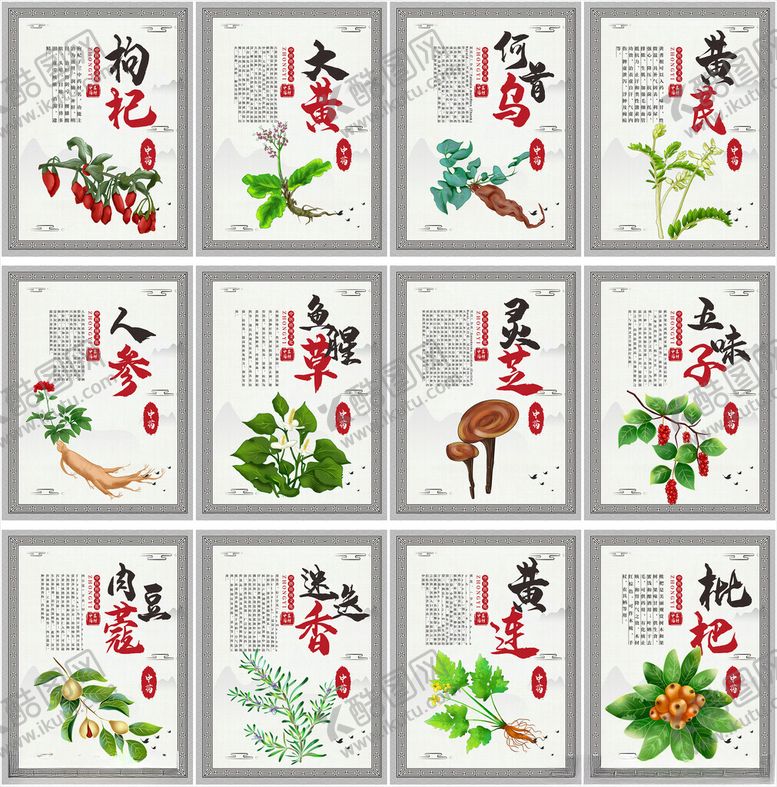 编号：13726611142335153146【酷图网】源文件下载-中医养生中药海报