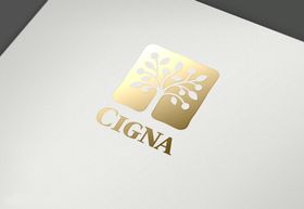 logo样机自然高端材质
