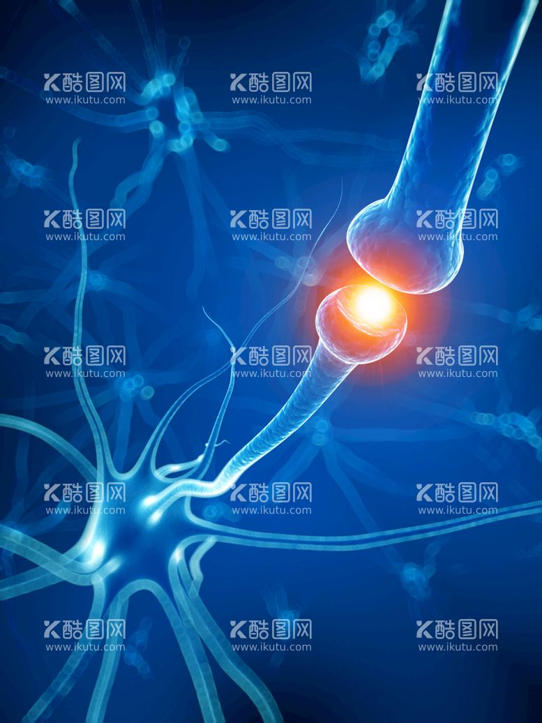 编号：65192409201121407165【酷图网】源文件下载-神经背景