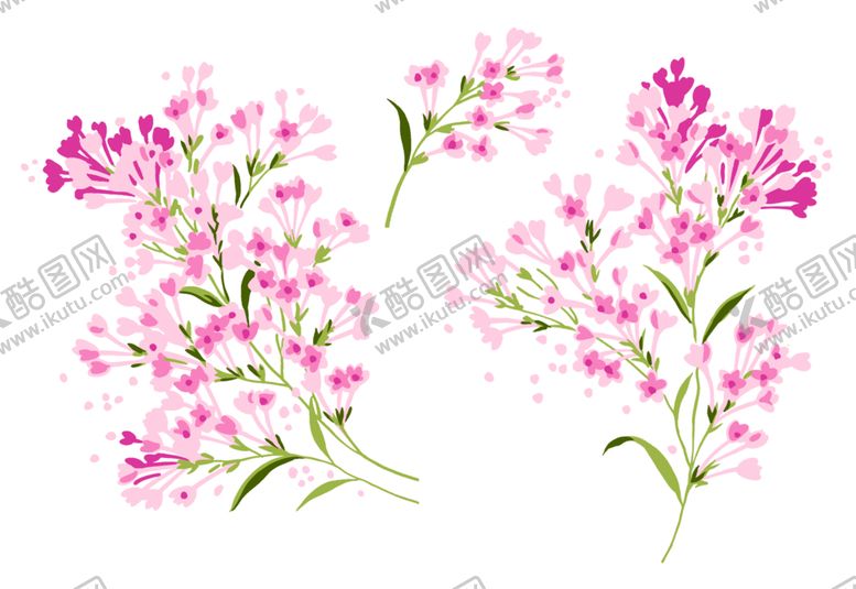 编号：85161307091630385818【酷图网】源文件下载-丁香花