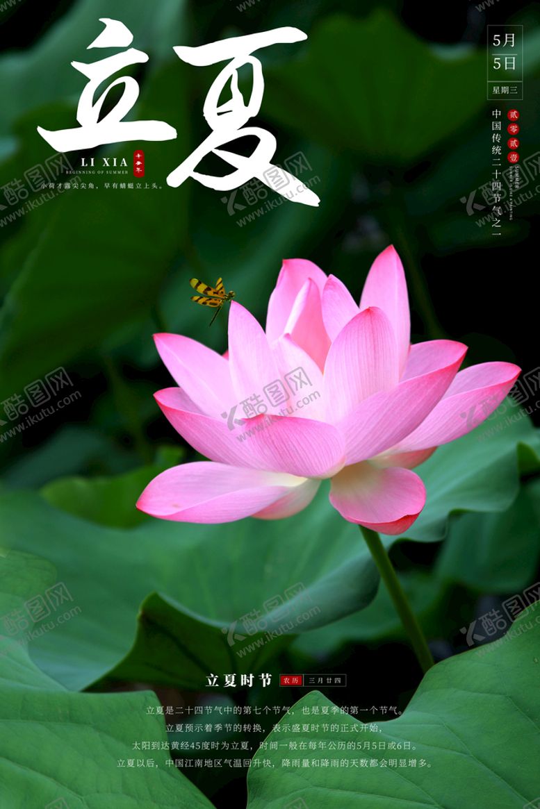 编号：24763509232203349137【酷图网】源文件下载-立夏