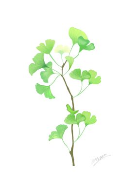 手绘银杏叶子麋鹿装饰画