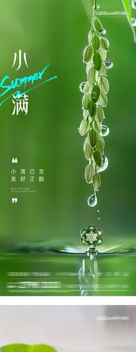 地产立夏小满风景海报