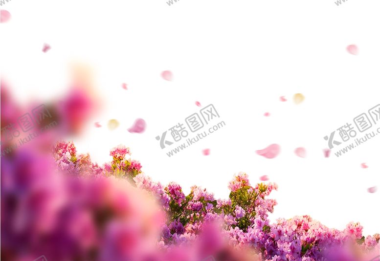 编号：90836505130126506413【酷图网】源文件下载-鲜花边框