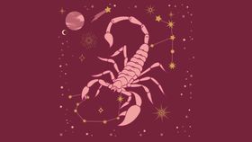 12星座天蝎座插画