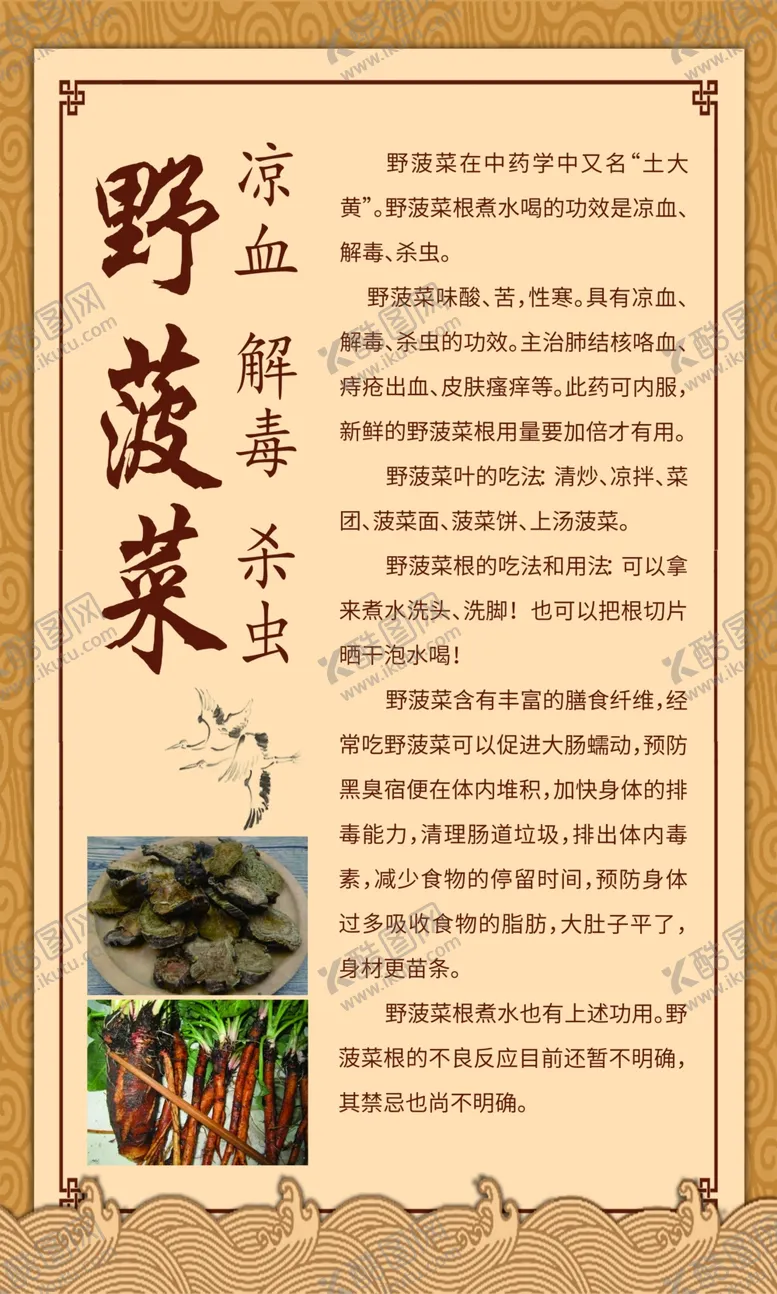 编号：58698401232142187534【酷图网】源文件下载-野菠菜