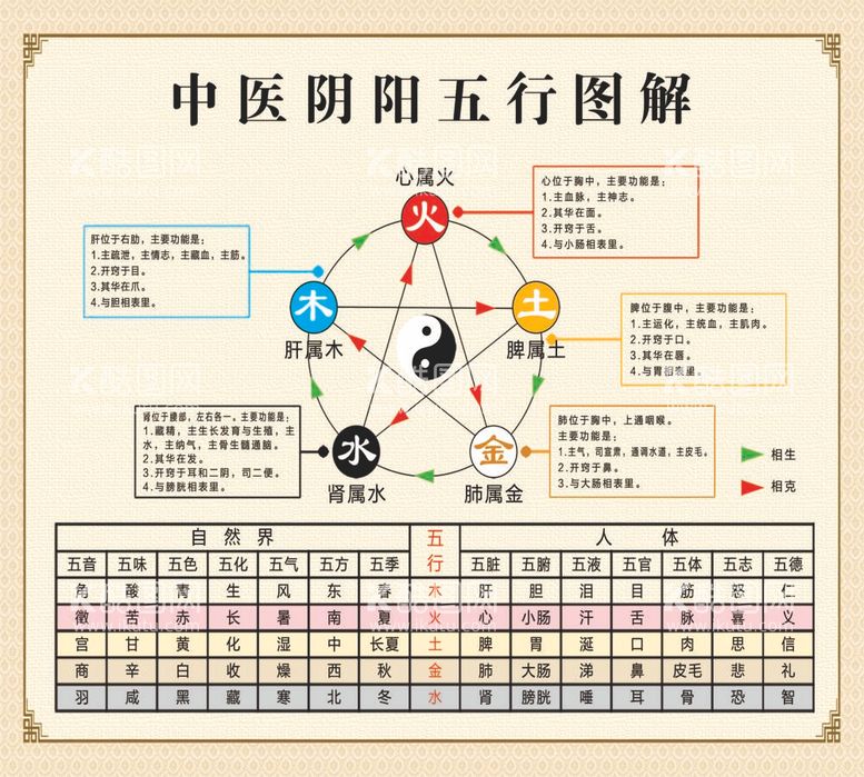 编号：95993412021750518829【酷图网】源文件下载-中医阴阳五行图解