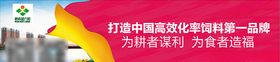 墙体广告