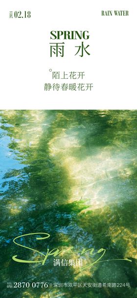 雨水海报植物风景二十四节气