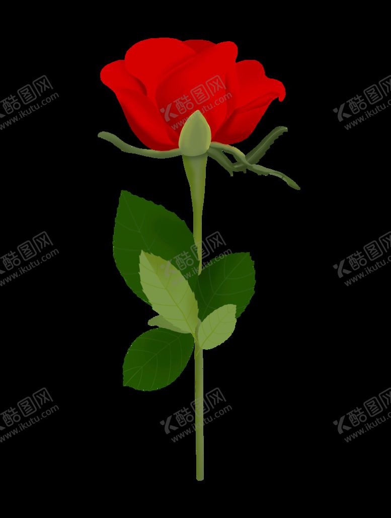 编号：35607109291037369715【酷图网】源文件下载-玫瑰花