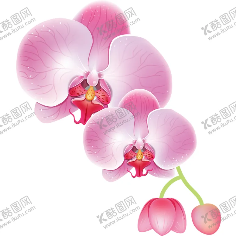 编号：11759406270737436206【酷图网】源文件下载-鲜花素材