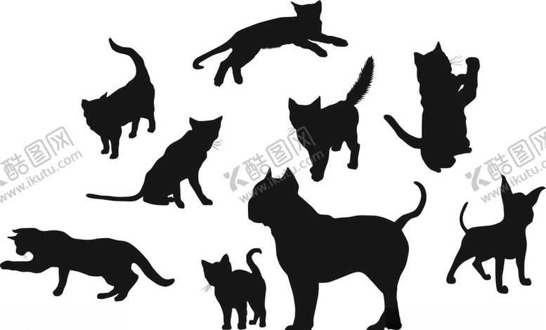 编号：21484709300731366518【酷图网】源文件下载-猫咪