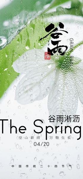 谷雨节气海报花绿色露珠