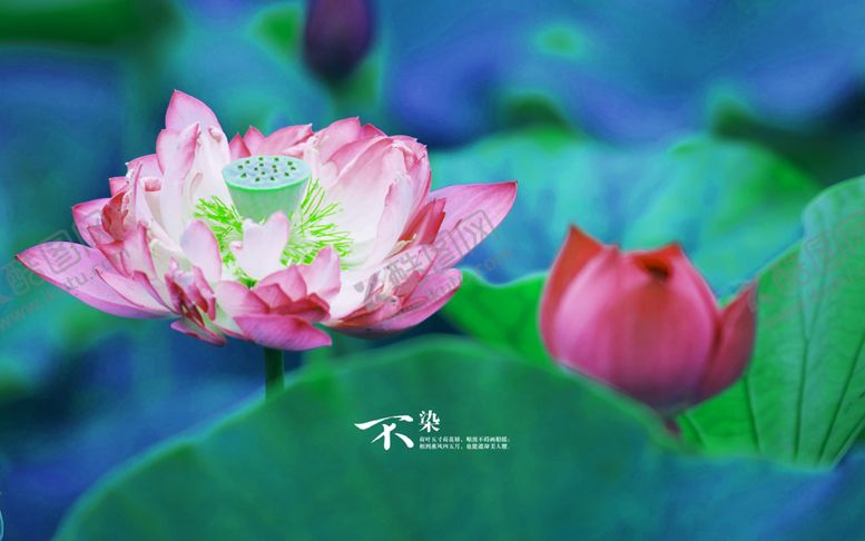 编号：69464009230727349232【酷图网】源文件下载-风景