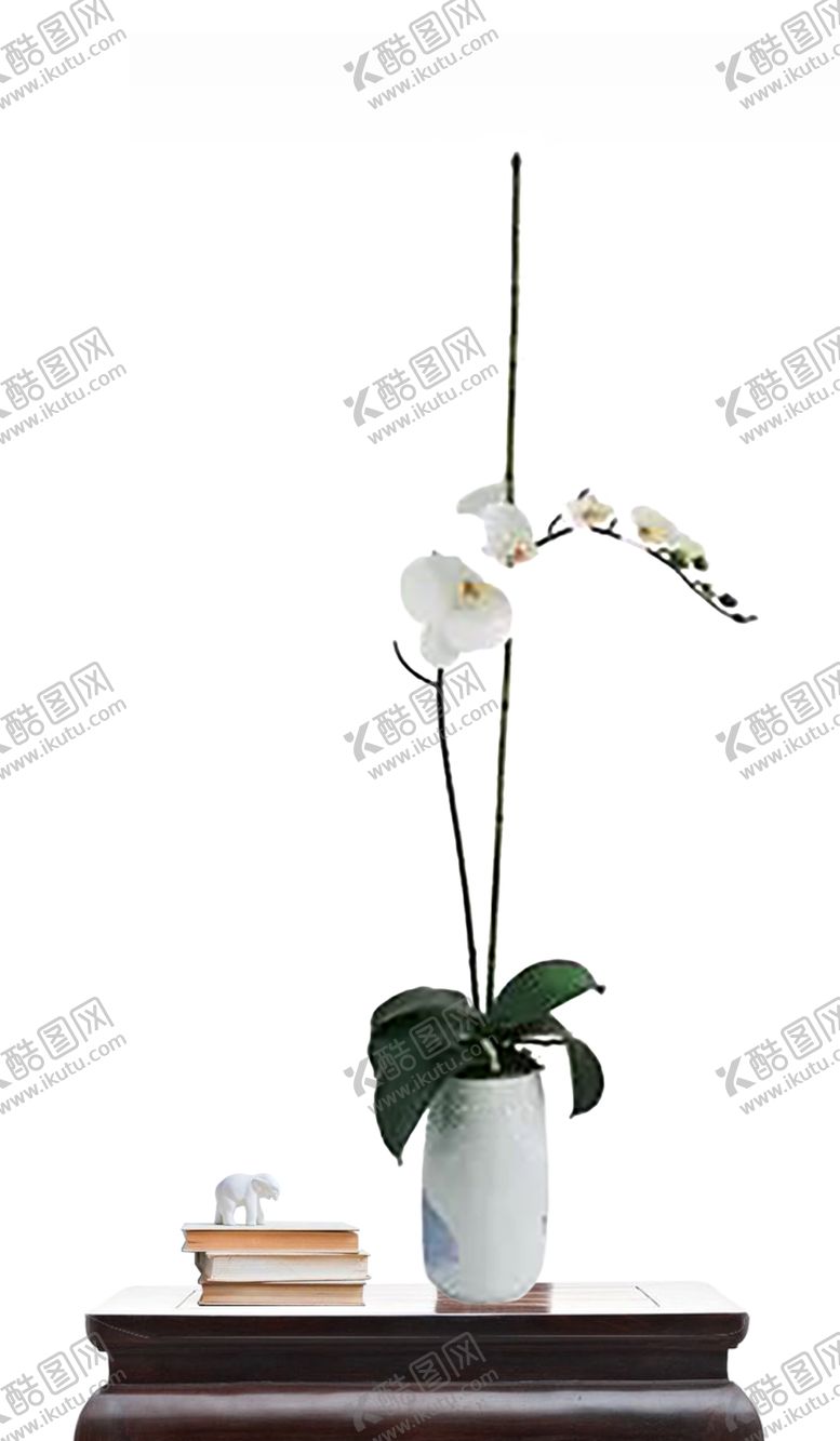 编号：60099210080348592360【酷图网】源文件下载-花艺