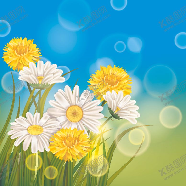 编号：14557909170225395427【酷图网】源文件下载-雏菊