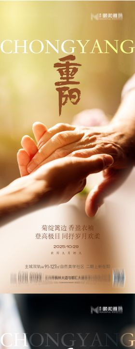 2025重阳节节日海报