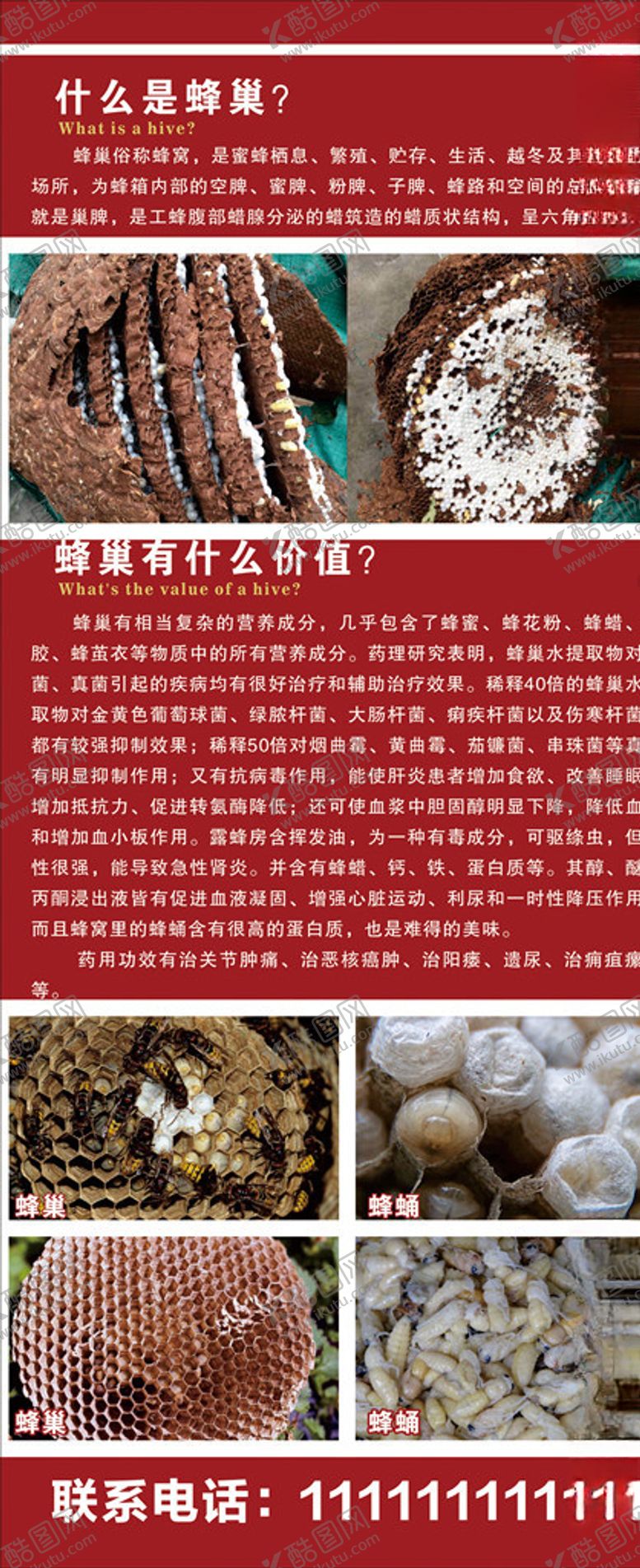 编号：42632209270737162143【酷图网】源文件下载-蜂巢展架画面设计