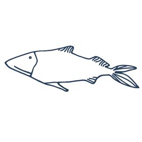 手绘海洋生物