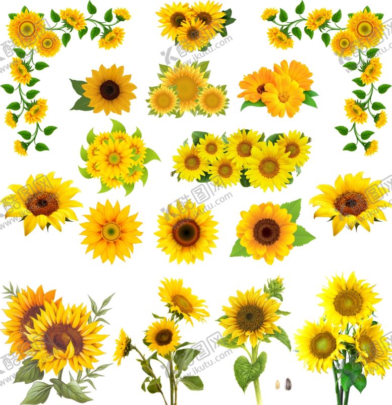 编号：35208209211627279391【酷图网】源文件下载-免扣向日葵