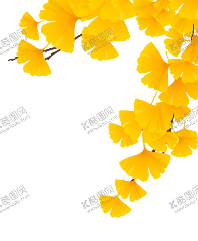 编号：58717404180234366441【酷图网】源文件下载-银杏叶