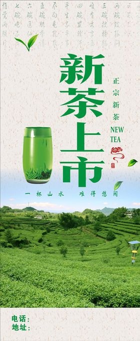 新茶上市