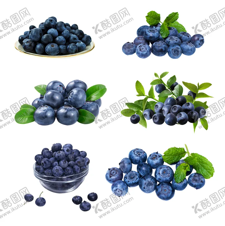 编号：82695009190434391052【酷图网】源文件下载-蓝莓