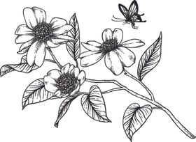 花卉花蕊