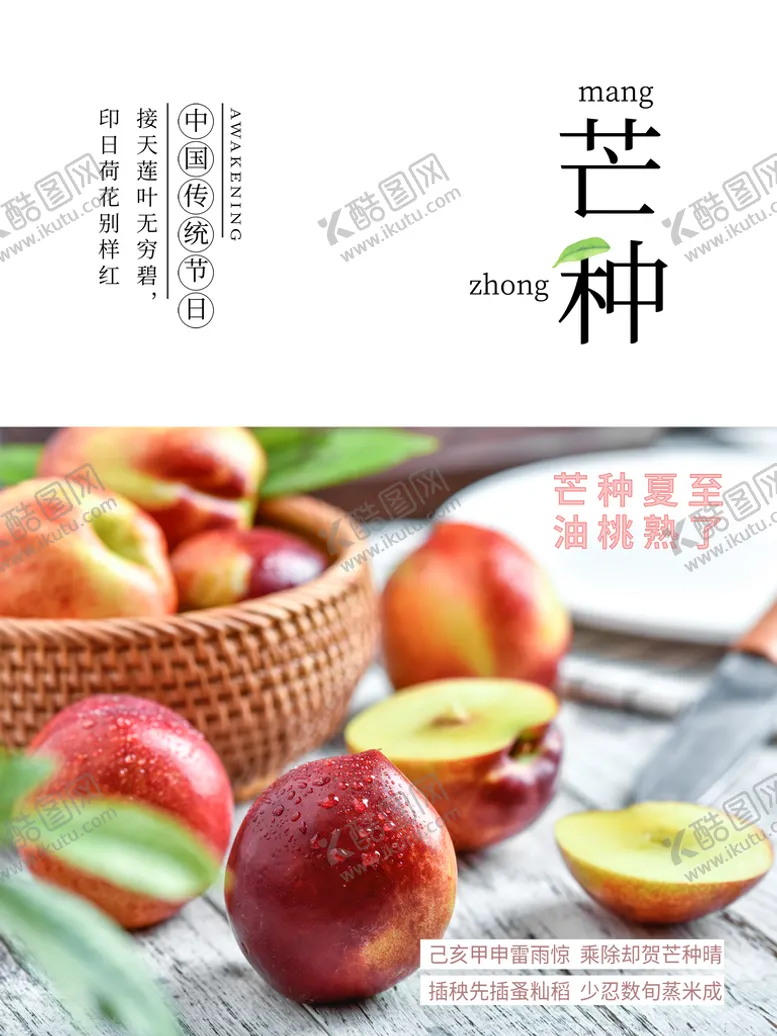 编号：23086409241946243507【酷图网】源文件下载-芒种节气海波