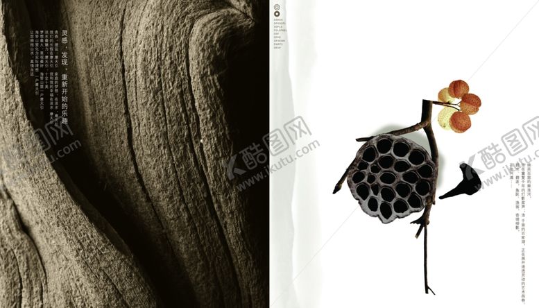 编号：44872909221524018485【酷图网】源文件下载-中国风复古干莲蓬宣传海报