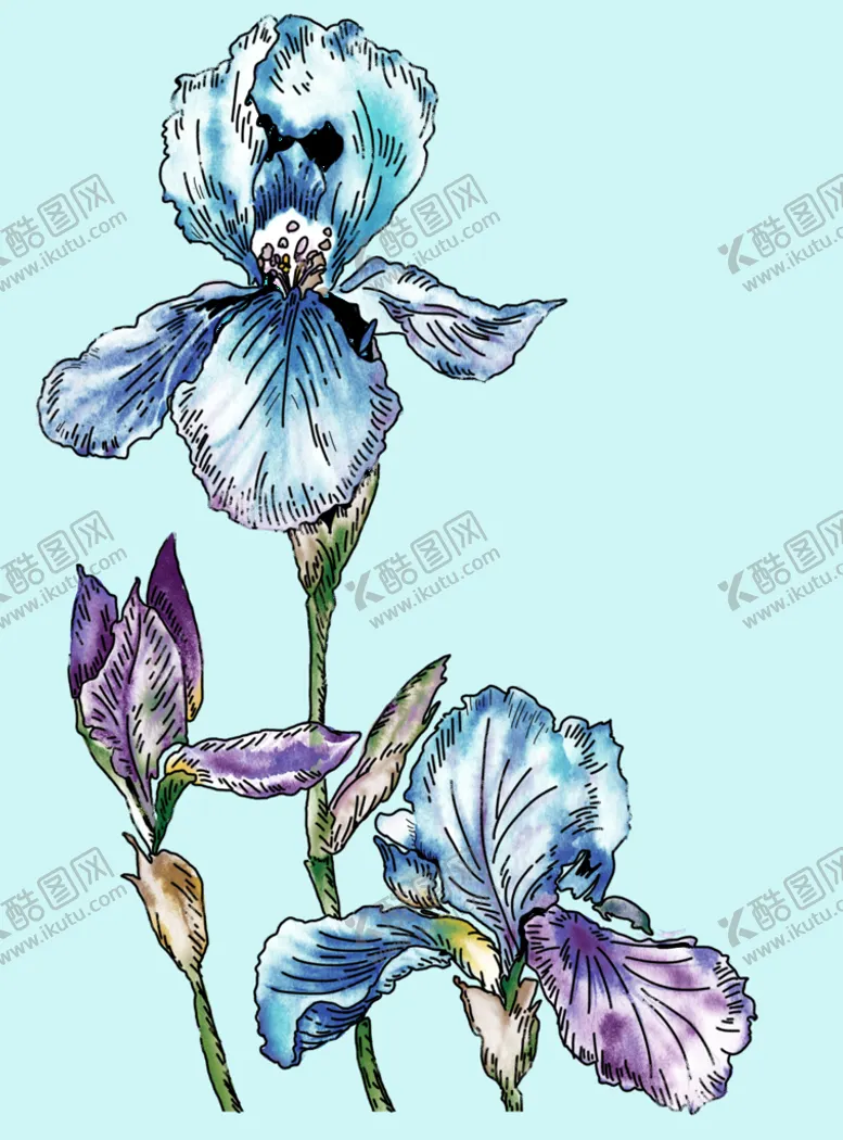 编号：40318509161712055248【酷图网】源文件下载-花卉底纹背景 