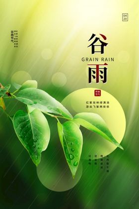 国潮创意二十四节气谷雨海报