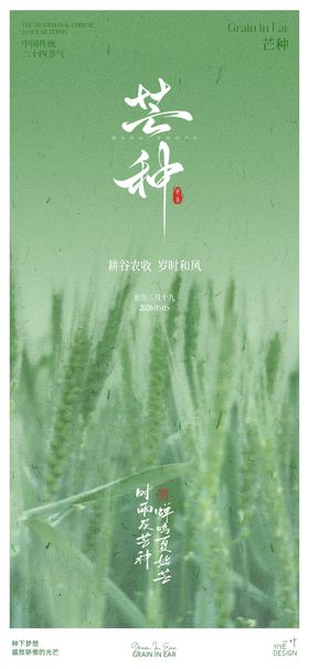 芒种节气海报