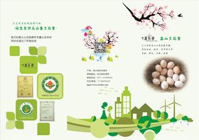 土鸡蛋宣传页