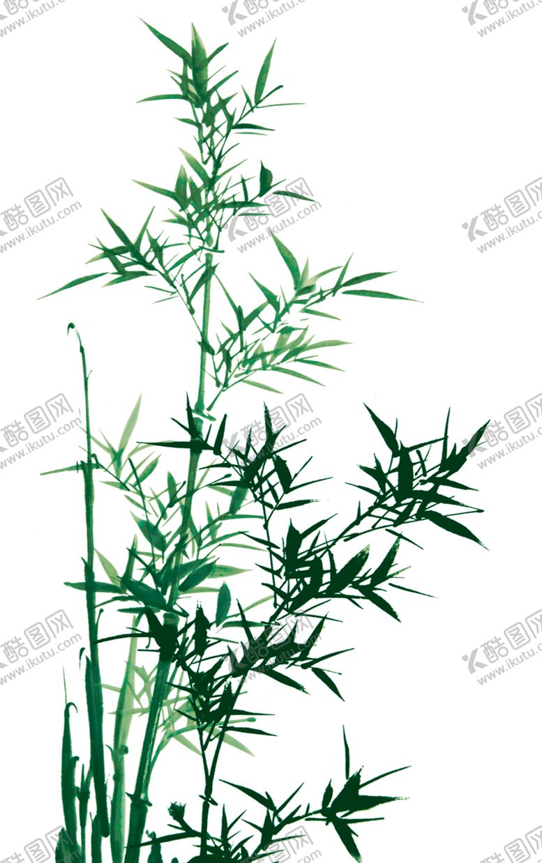 编号：53918607132234373514【酷图网】源文件下载-竹子