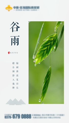谷雨二十四节气24节气