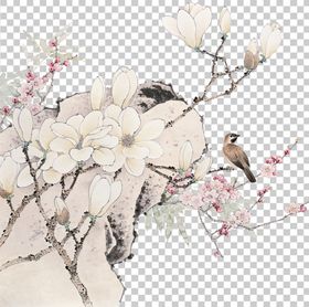 透明底梅花