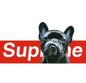 super狗狗