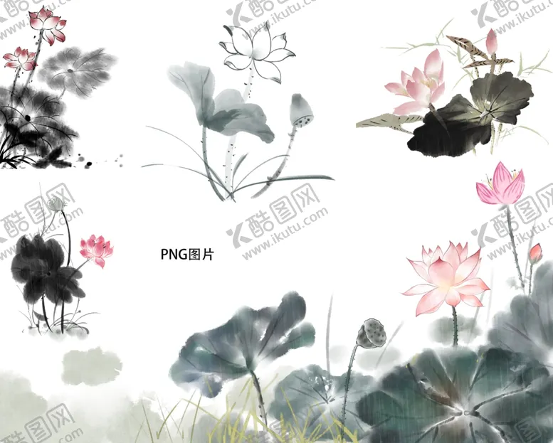 编号：65465202132254502740【酷图网】源文件下载-手绘水墨荷花