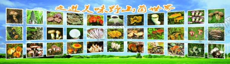 编号：10639105071350086629【酷图网】源文件下载-酒店背景