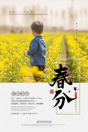 春分习俗24节气节气海报