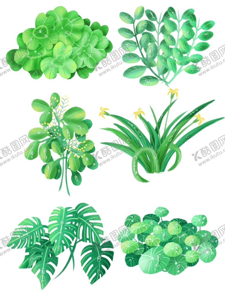 编号：50159110292145481152【酷图网】源文件下载-白露