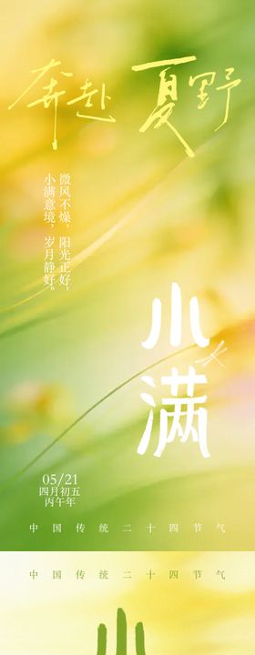 小满传统二十四节气治愈清透质感海报