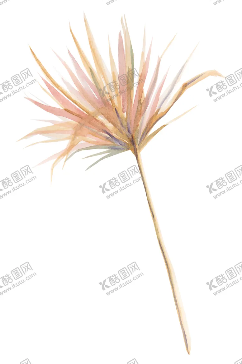 编号：66841007081813199579【酷图网】源文件下载-夏日热带水彩花朵
