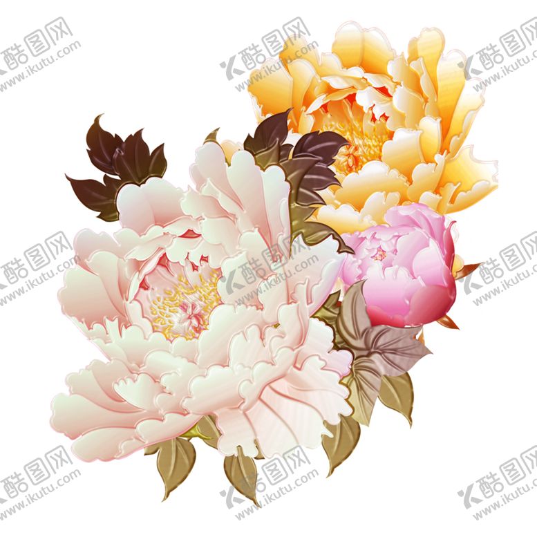 编号：71675407030055482557【酷图网】源文件下载-牡丹花